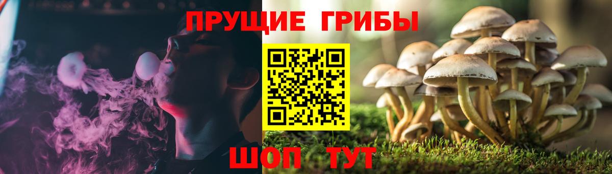 Псилоцибиновые грибы Magic Shrooms  Галлюциногенные грибы мицелий  Иркутск  Вход с VPN 
